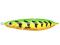 WOBLER RAPALA RATTLIN MINNOW SPOON 8cm/16g FT NEW