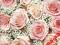 Serwetki do decoupage-2szt -RÓŻE-  NR 303