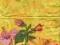 Serwetki do decoupage-2szt-KWIATY- NR 66