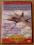 SAMOLOTY ŚWIATA AIRSTRIKE 1 ATAK Z POWIETRZA FPW