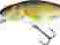 Salmo Perch 12 cm SDR Floating RR
