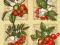 Serwetki do decoupage-2szt.-OWOCE- NR 17