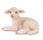 Schleich 13284 Owieczka leżąca