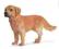 Schleich 16335 Pies Golden Retrewier