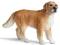Schleich 16377 Pies Golden Retriever - KRAKÓW