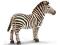 Schleich 14391 Zebra samiec - KRAKÓW