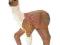 Schleich 13705 Źrebię rasy Alpak