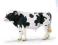 Schleich 13632 Byk rasy Holstein
