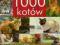 1000 kotów W-WA 24H *