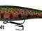 WOBLER SAVAGEAR 3D PREY 6,5 RAINBOW SMOLT PSTRĄG