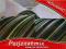 ZIELONO/CZARNY MODNY KRAWAT CLASSIC + NAJTANIEJ +