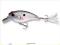 Cormoran Belly Shad SD 6cm 8g REWELACJA 53-27506