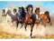 CASTOR puzzle 1000 Thunder and Dust konie galop