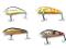 ZESTAW WOBLERÓW GĘBALA PSTRĄG,OKOŃ,KLEŃ 5 CM N10
