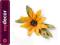 WYKROJNIK SIZZIX BIGZ FLOWER BLACK-EYED SUSAN