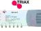 Multiswitch Triax Hirschmann TMS 5x6 P 5/6 aktywny