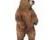 Schleich - Niedźwiedź grizzly - 14686 + katalog