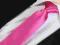 KRAWAT ŻAKARDOWY ŚLEDŹ - FUKSJA [1492]