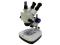 Mikroskop Sagittarius SCIENCE ETD-102 10x-80x