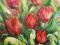 Obraz Czerwone Tulipany 30 x 40 cm Akryl płótno