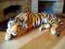 Tygrys brązowy / biały /leżący Lew pantera - 6wzór