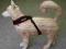 Uprząż dla psa MANMAT Merhi Harness 32cm nieb XS
