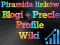 POZYCJONOWANIE BLOGI PRECLE PROFILE- 35250 linków