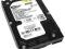 Dysk twardy HDD 40GB Western Digital