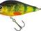 JAXON WOBLER HOLO SELECT KARAŚ VJ-KA11FOM WWA