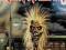 IRON MAIDEN: IRON MAIDEN (LIMITED) [WINYL]