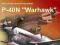 P-40N Warhawk , 1/33 ORLIK, Sklep Warszawa