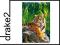 CASTOR 500 TYGRYS SUMATRZAŃSKI 51649 [PUZZLE]