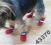 Pelo**Buty dla psa SKARPETKI polar PROMOCJA r 1