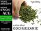 ZIELONA KAWA Green Coffee EXTRA SLIM 0,5 kg MOCNA