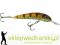 Wobler Jaxon HS Ferox 8cm-F/10g, Kolor: OB
