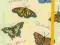 Notes notatni FRIDOLIN Natur Fun-Butterfly retro
