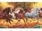 PUZZLE 1000 PANORAMA KONIE CL31300  WYS.24H