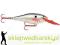Wobler Rapala Shad Rap 5cm-F/6g, Kolor: BP