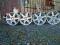 NIEMIECKIE ALUSY PLW VW MERCEDES 17' 5x112 KOMPLET