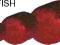 PELLET ZANĘTOWY CARP ZOOM 20MM/800G RED HALIBUT