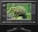 Monitor EIZO 24 cale ColorEdge CG241W