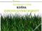 TRAWA MIESZANKA TRAW KOŚNA 10kg  SZYBKI WZROST