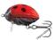 salmo LIL BUG 3 3CM 4,3g BG3BLB WOBLER ROBAK