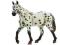 Figurka Ogier Appaloosa -Trefl