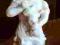 Stara duża,biskwitowa figurka