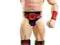 WWE MATTEL BASIC SIGNATURE 2013 SHEAMUS WRESTLING
