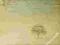 Genesis-wind and wuthering folia 180g