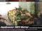 Academy 13230 Jagdpanzer 38(t) Hetzer (Late Produc