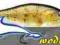 WOBLER RAPALA SHAD RAP SHALLOW RUNNER SSR05  5 cm