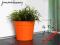 Doniczka KORAL  pomarańcz fi=13  h=11- PLASTIK HIT